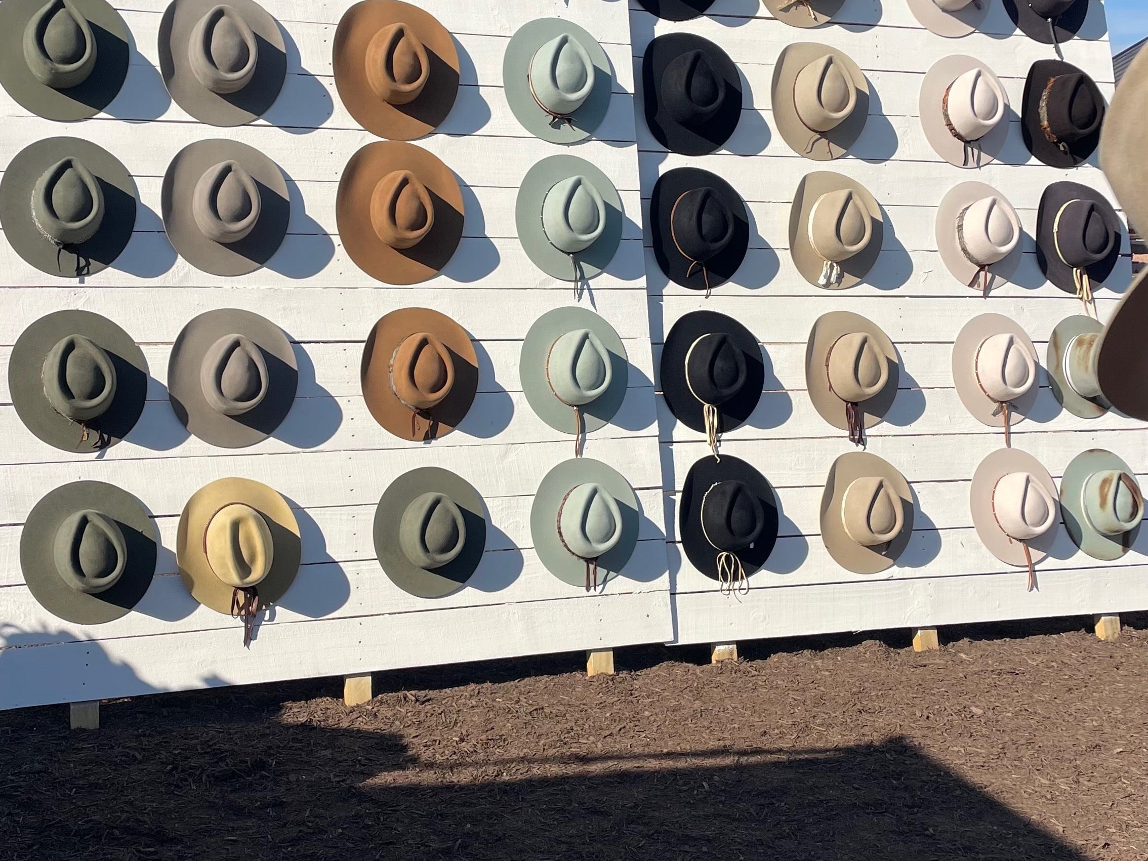 Blue Hills Fall 2025 | Round Top, TX