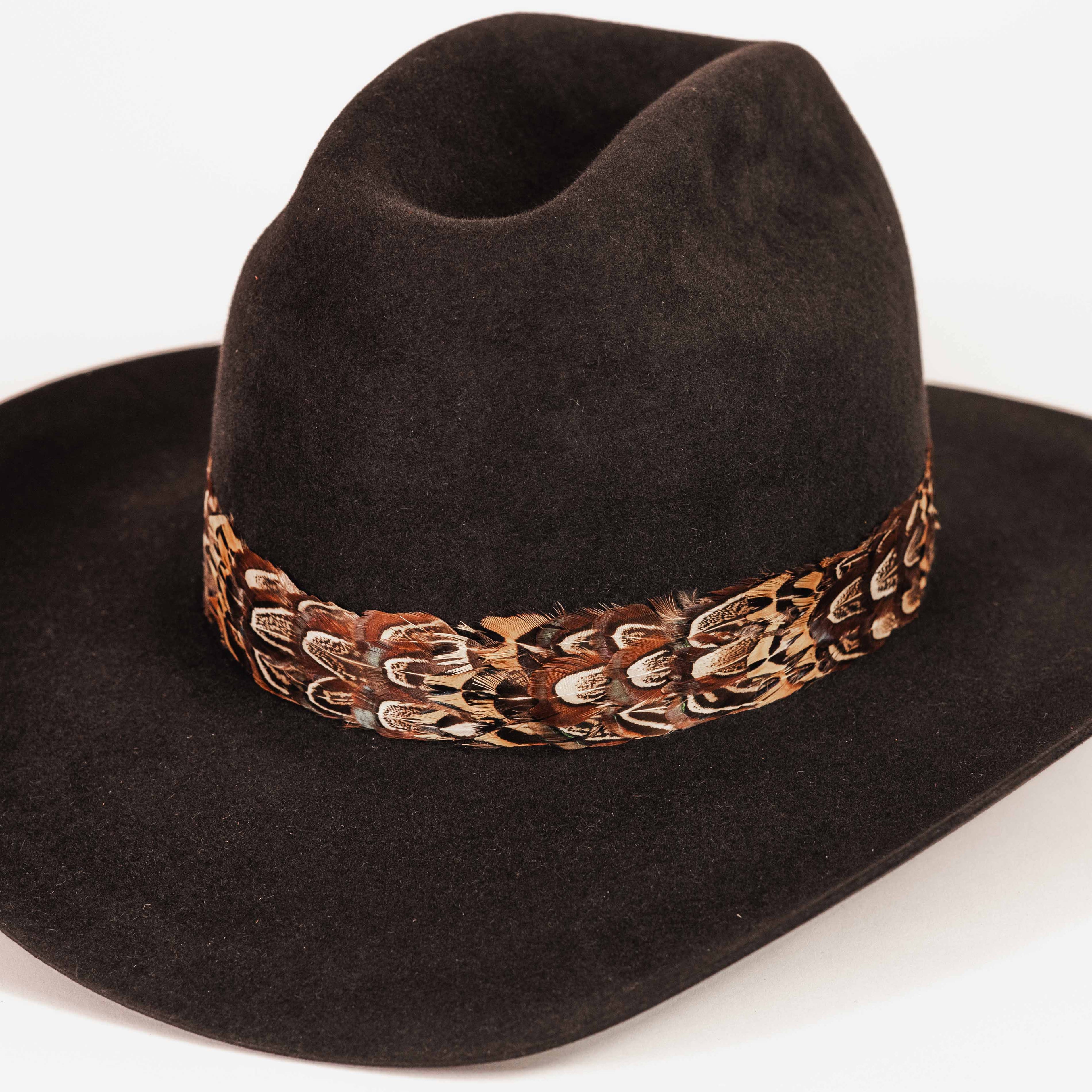 Brown Pheasant Hat Band