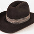 A dark brown felt cowboy hat with a decorative feather band featuring white, black, and brown feathers, set against a plain white background.