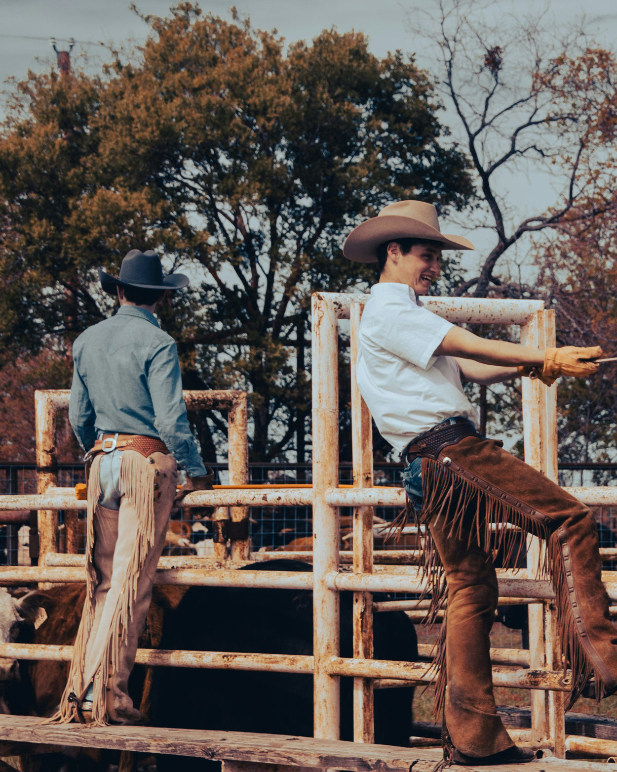 Two cowboys in western hats on a rodeo fance with trees in the background