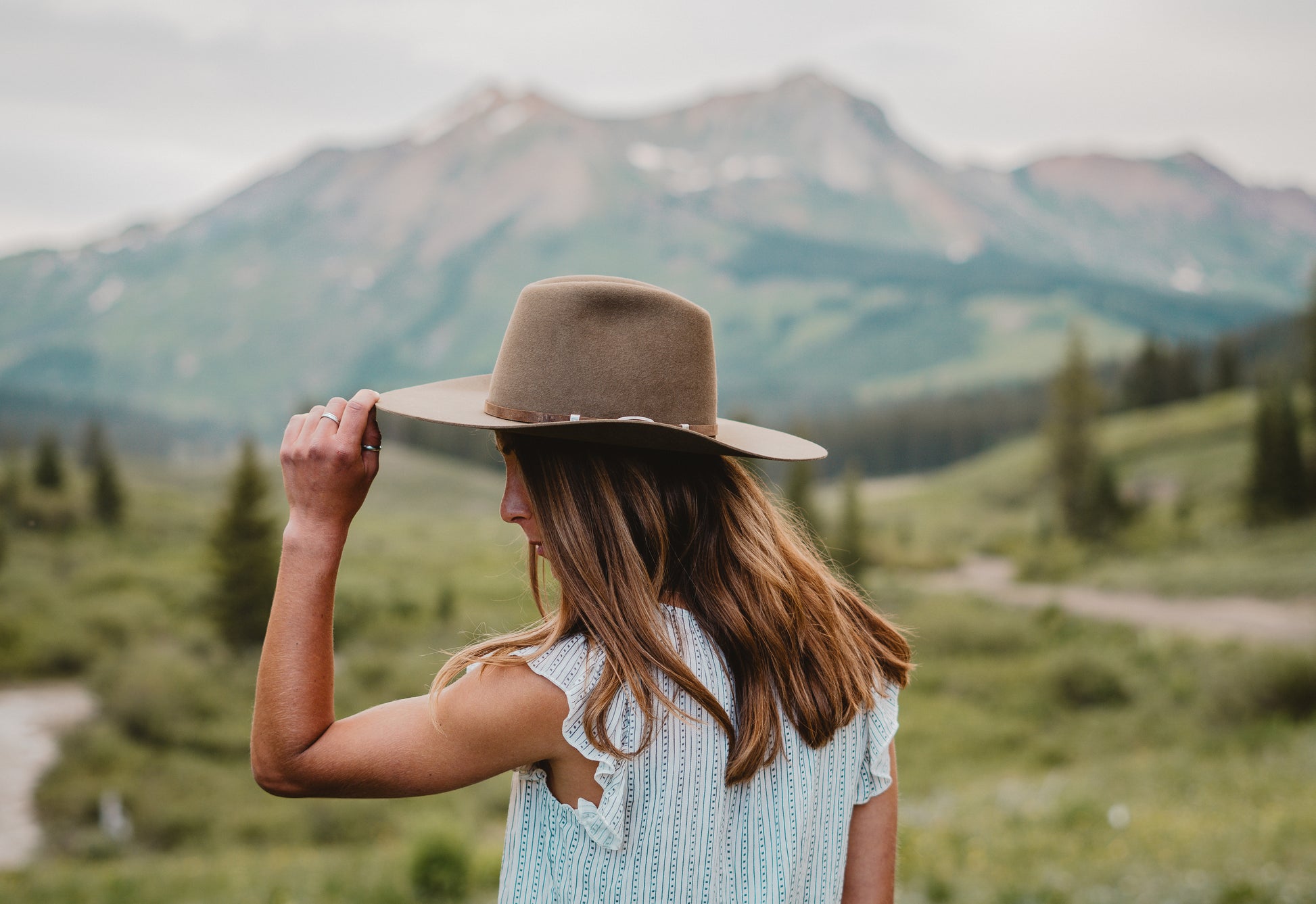 No. 4 Björkstam X Lonewolf ed. 1