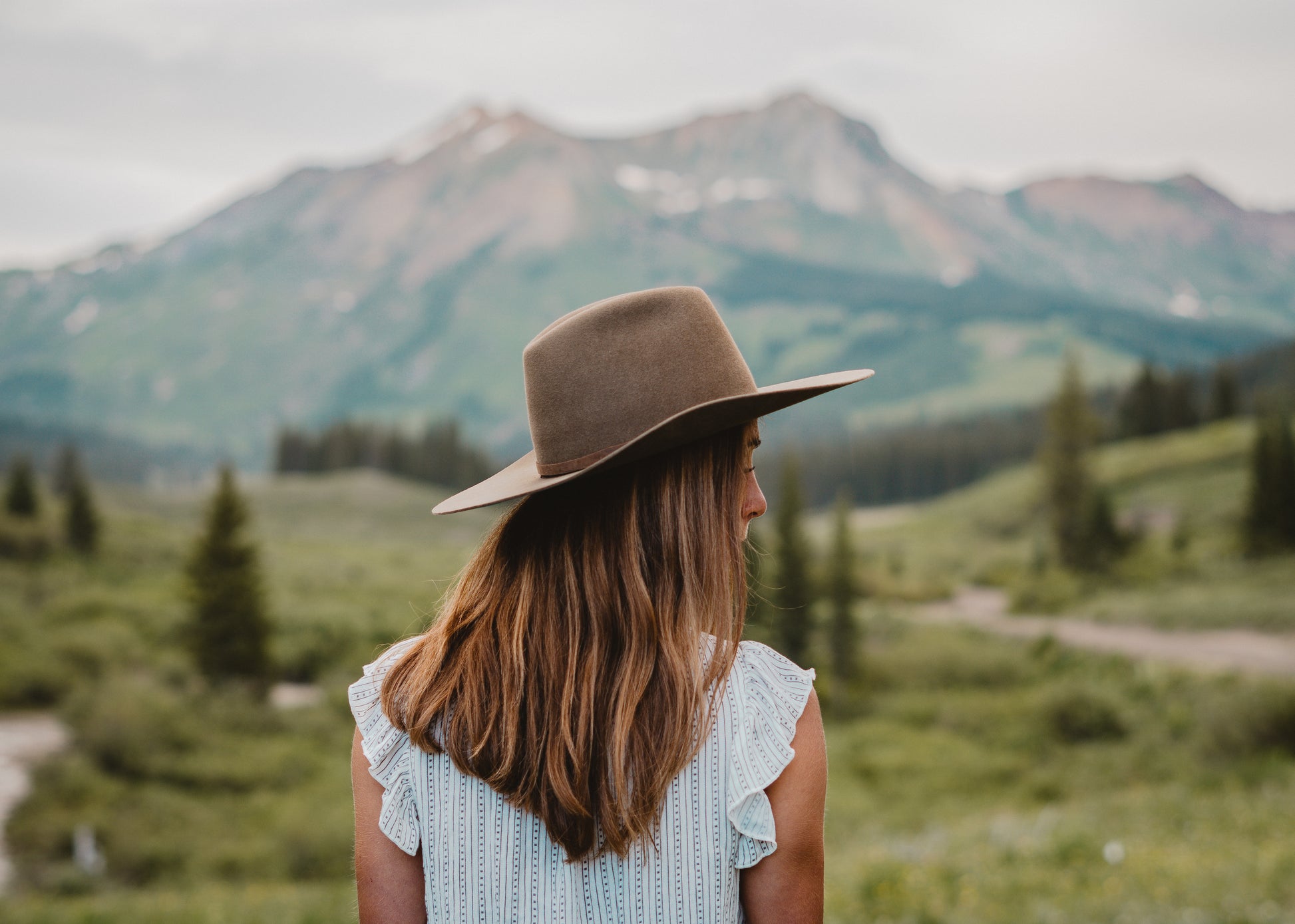 No. 4 Björkstam X Lonewolf ed. 1